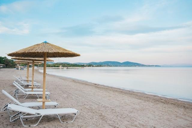 Olea Mare Apartment Kalyves Polygyrou Ngoại thất bức ảnh