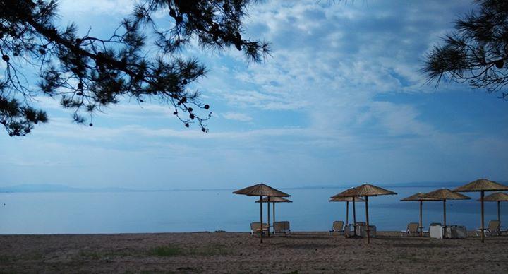 Olea Mare Apartment Kalyves Polygyrou Ngoại thất bức ảnh
